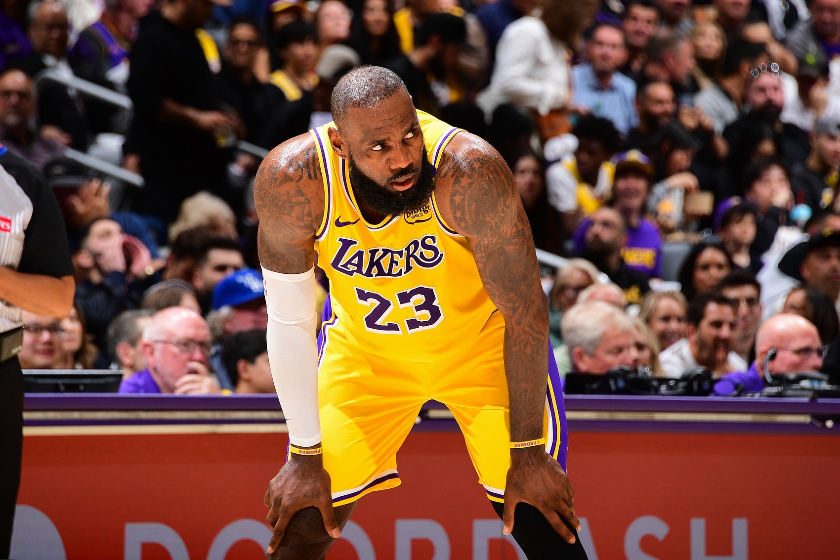 詹姆斯nba湖人__湖人詹姆斯是什么位置