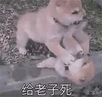 状元节目__广州状元王餐饮管理有限公司
