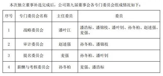 抢公章、堵审计，内斗11年终“改姓”：昔日“厨电第一股”，快被拖垮了__抢公章、堵审计，内斗11年终“改姓”：昔日“厨电第一股”，快被拖垮了