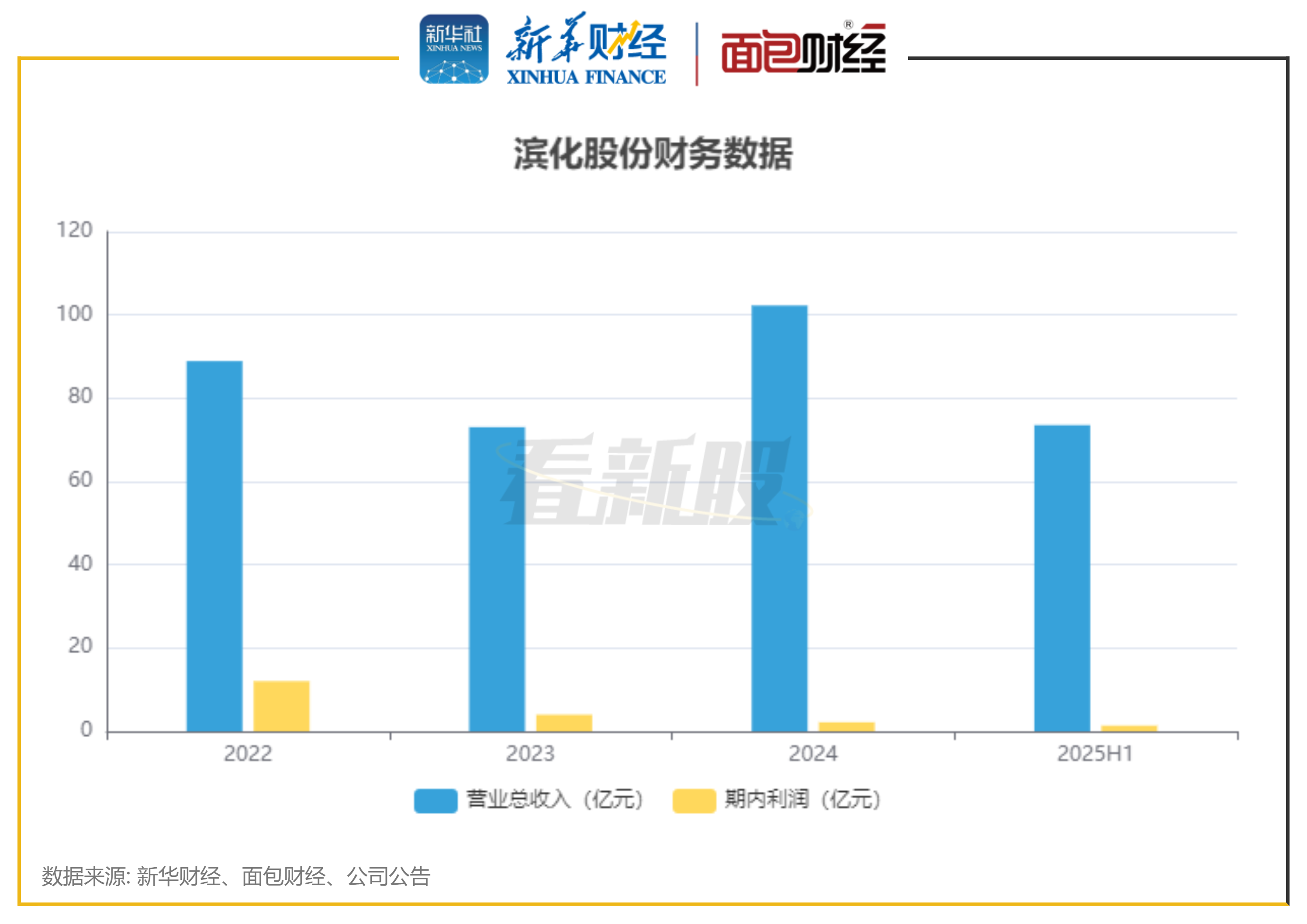 图2：滨化股份财务数据